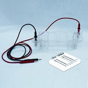 北京六一瓊脂糖水平電泳槽DYCP-32B