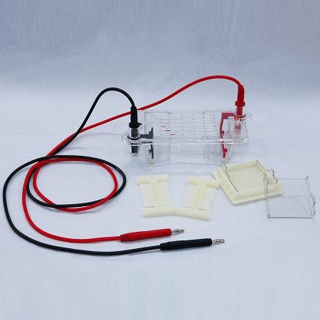 北京六一瓊脂糖水平電泳槽DYCP-31BN