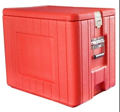 北京福意聯2-8℃藥品冷藏箱FYL-BW-50L
