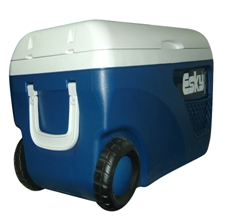 北京福意聯2-8℃藥品冷藏箱FYL-BW-65L