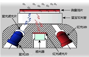 大連博克斯熒光法溶解氧儀