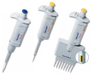 eppendorf整只消毒移液器（12道）0.5-10μl, 12-channel