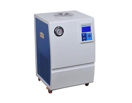 寧波新芝快速低溫冷卻循環泵DLK-5010