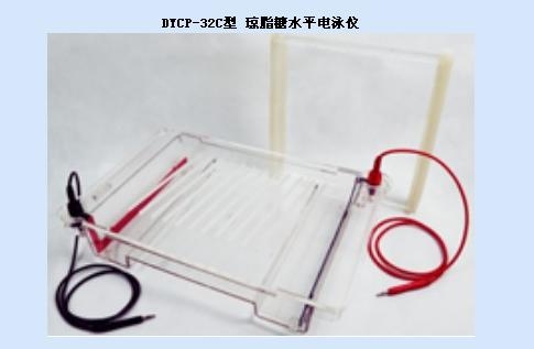 北京六一瓊脂糖水平電泳槽DYCP-32C