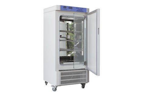 上海新苗智能型霉菌培養箱無氟環保型（新一代）MJ-300BSH-Ⅱ