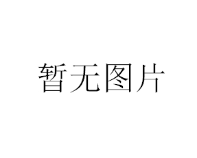 上海衡平電子精密天平JA1003