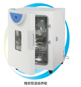上海一恒精密恒溫培養箱BPH-9402