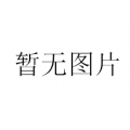 上海衡平電子精密天平JA2003